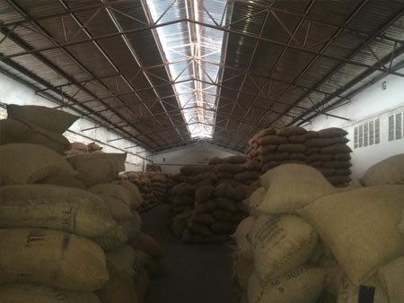 Warehouse stacked with hessian sacks of export-grade Arabica coffee